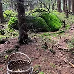 Free Wellness & Spa Multimedia Apartment - Snidane S Donaskou Na Pokoj - Zdarma Vstup Do Wellness, Virive Vany, Solna Sauna, Finska Sauna, Parni Sauna, Masaze, Playstation 5 A Hry, Moderni Vybaveni, Vybaveni Pro Deti, Sklep, Terasa, Parkovani Zdarma Apartman *