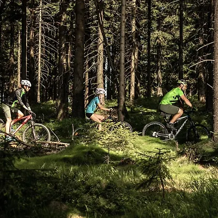 Apartament Free Wellness & Multimedia - Snidane S Donaskou Na - Zdarma Vstup Do Wellness, Virive Vany, Solna Sauna, Finska Sauna, Parni Sauna, Masaze, Playstation 5 A Hry, Moderni Vybaveni, Vybaveni Pro Deti, Sklep, Terasa, Parkovani Zdarma