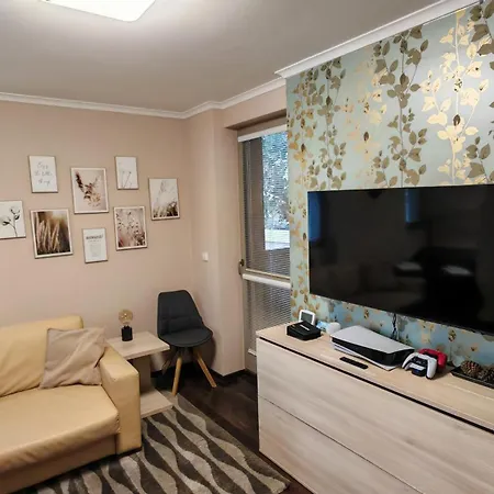 Free Wellness & Multimedia - Snidane S Donaskou Na - Zdarma Vstup Do Wellness, Virive Vany, Solna Sauna, Finska Sauna, Parni Sauna, Masaze, Playstation 5 A Hry, Moderni Vybaveni, Vybaveni Pro Deti, Sklep, Terasa, Parkovani Zdarma Apartament Harrachov