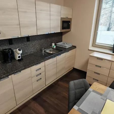Apartament Free Wellness & Multimedia - Snidane S Donaskou Na - Zdarma Vstup Do Wellness, Virive Vany, Solna Sauna, Finska Sauna, Parni Sauna, Masaze, Playstation 5 A Hry, Moderni Vybaveni, Vybaveni Pro Deti, Sklep, Terasa, Parkovani Zdarma Harrachov