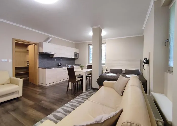 Appartement Free Wellness & Multimedia - Snidane V Cene - Zdarma Vstup Do Wellness, Virive Vany, Solna Sauna, Finska Sauna, Parni Sauna, Masaze, Playstation 5 A Hry, Moderni Vybaveni, Vybaveni Pro Deti, Sklep, Terasa, Klidna Lokalita, Parkovani Zda