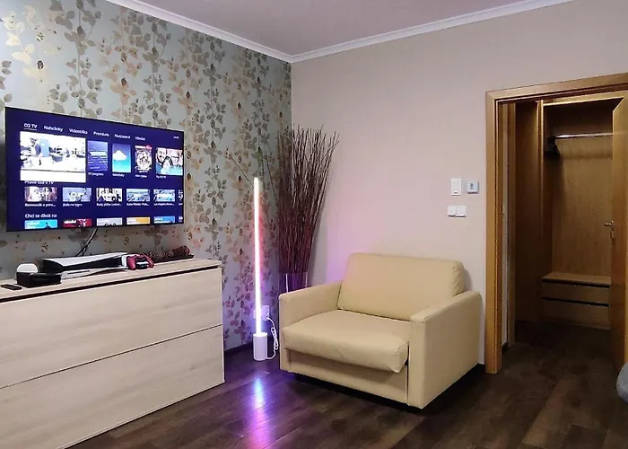 Free Wellness & Multimedia - Snidane V Cene - Zdarma Vstup Do Wellness, Virive Vany, Solna Sauna, Finska Sauna, Parni Sauna, Masaze, Playstation 5 A Hry, Moderni Vybaveni, Vybaveni Pro Deti, Sklep, Terasa, Klidna Lokalita, Parkovani Zda Appartement Harrachov