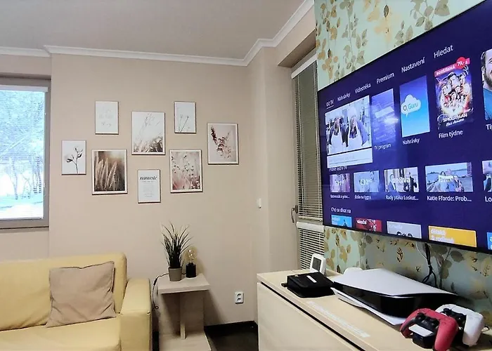 Appartement Free Wellness & Multimedia - Snidane V Cene - Zdarma Vstup Do Wellness, Virive Vany, Solna Sauna, Finska Sauna, Parni Sauna, Masaze, Playstation 5 A Hry, Moderni Vybaveni, Vybaveni Pro Deti, Sklep, Terasa, Klidna Lokalita, Parkovani Zda *