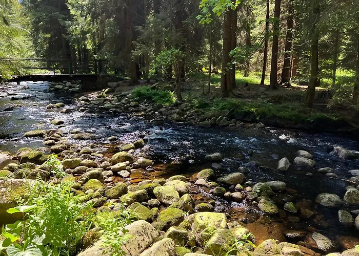 Free Wellness & Multimedia - Snidane V Cene - Zdarma Vstup Do Wellness, Virive Vany, Solna Sauna, Finska Sauna, Parni Sauna, Masaze, Playstation 5 A Hry, Moderni Vybaveni, Vybaveni Pro Deti, Sklep, Terasa, Klidna Lokalita, Parkovani Zda Harrachov