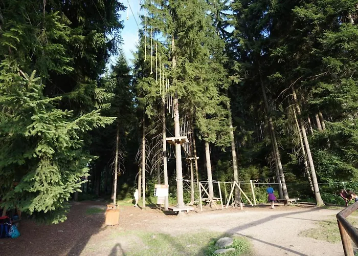 Free Wellness & Multimedia - Snidane V Cene - Zdarma Vstup Do Wellness, Virive Vany, Solna Sauna, Finska Sauna, Parni Sauna, Masaze, Playstation 5 A Hry, Moderni Vybaveni, Vybaveni Pro Deti, Sklep, Terasa, Klidna Lokalita, Parkovani Zda Appartement Harrachov