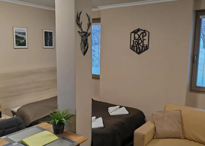 Free Wellness & Multimedia - Snidane V Cene - Zdarma Vstup Do Wellness, Virive Vany, Solna Sauna, Finska Sauna, Parni Sauna, Masaze, Playstation 5 A Hry, Moderni Vybaveni, Vybaveni Pro Deti, Sklep, Terasa, Klidna Lokalita, Parkovani Zda * Harrachov