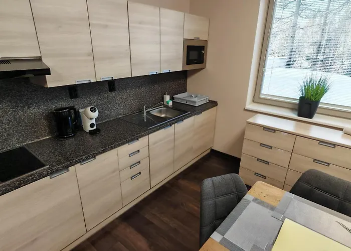 Appartement Free Wellness & Multimedia - Snidane V Cene - Zdarma Vstup Do Wellness, Virive Vany, Solna Sauna, Finska Sauna, Parni Sauna, Masaze, Playstation 5 A Hry, Moderni Vybaveni, Vybaveni Pro Deti, Sklep, Terasa, Klidna Lokalita, Parkovani Zda Harrachov